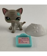 Littlest Pet Shop Cozy Care Center #483 Shorthair Cat LPS Animal Figure ... - $81.17 CAD