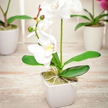 White Pot With Faux Plants And A Faux Fiore White Orchid, 13, Restaurantware - £26.61 GBP