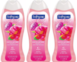 (3 Ct) Softsoap Pink Peony &amp; Sea Salt Exfoliating Body Wash, 20 oz - £24.94 GBP