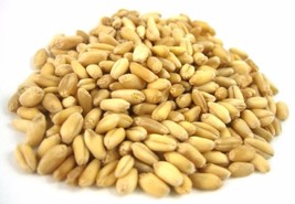 Organic Soft Wheat Kernels - $198.13