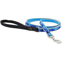 Lupine Reflective Dog Leash 6-Foot by 1/2&quot; Wide Blue Paws - $38.85 CAD