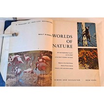 Walt Disney&#39;s Worlds of Nature by Rutherford Platt (1957 HC without Dust... - $15.80