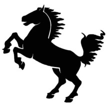 Horse sticker VINYL DECAL Equidae Equus Ferus Wild Stallion Arabian Quar... - $9.50