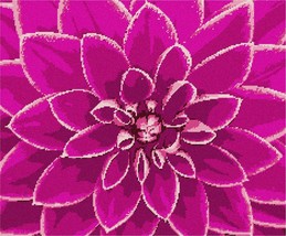 Pepita Needlepoint kit: Pink Dahlia Up Close, 18&quot; x 15&quot; - $86.00+