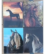 12 VTG 1985 Arabian Horse World Stallion Guide Arabian Horse Times - Lot... - £100.40 GBP