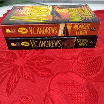 Lot of 2 (#1-2) BROKEN WINGS Complete Series Set Paperback Books by VC A... - $9.98