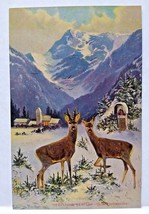 Deer Snow Covered Mountains Church Postcard Signed Muller Germany Vintage Unused - £10.90 GBP