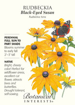 Black Eyed Susan Seeds 500 Mg Rudbeckia Fresh Garden - $6.02