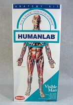 SKILCRAFT HUMAN LAB ANATOMY VISIBLE MAN PLASTIC MODEL KIT NEW! - $22.49