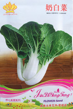 Creamed Black Cabbage Vegetables Organic Seeds Pack 40 Seeds Tasty Edibl... - $20.00