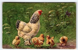 Hen Chicken Baby Chicks Butterfly Muller Germany Farm Rustic Animals Wil... - £17.64 GBP