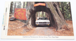 Vintage 1983 California Redwoods Shrine Drive Thru Tree Park 6 Postcards - £14.68 GBP