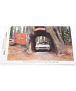 Vintage 1983 California Redwoods Shrine Drive Thru Tree Park 6 Postcards - £14.66 GBP