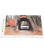 Vintage 1983 California Redwoods Shrine Drive Thru Tree Park 6 Postcards - £14.04 GBP