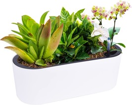 Vencer 16.5 Inch Rectangular Modern Self Watering Planters With Drain Hole, W - £26.53 GBP