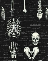 Timeless Treasures Glow in the Dark Skeleton Cotton Fabric Print by Yard D569.18 - £10.35 GBP