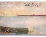 Boat on Water Landscape Comic Motto OH Fudge UNP Unused DB Postcard U7 - $2.92