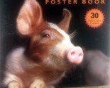 The Petting Farm Poster Book: 30 Full-Color Posters - $3.41