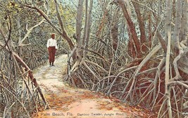 Palma Spiaggia Florida Fl ~ Bambù Twister-Jungle Strada ~ 1910s Cartolina - £8.00 GBP
