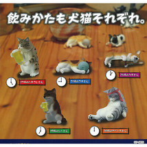 Cats and Dogs Drinking Together After 5 Mini Figure Collection - $12.99