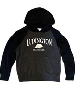 Ludington Michigan State Park Sweatshirt Hoodie Kids 10 Black Gray Tent ... - $225.80 MXN