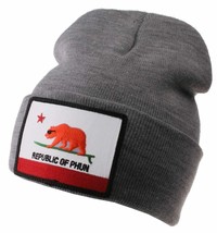 Team Phun Gray Republic Of Phun California Bear Surfing Fold Cuff Knit Beanie NW - £10.15 GBP