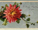 Dahlia Blossom A Merry Christmas Textured Foiled Embossed 1909 DB Postca... - $8.87