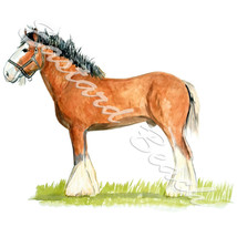 Clydesdale Horse High Quality Printed Vinyl Decal Wall Window SUV Truck Auto HD - £5.54 GBP+