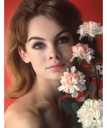 JEAN SHRIMPTON 4x6 PHOTO - $3.56 CAD