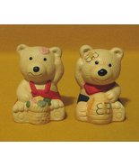 Teddy Bear Salt and Pepper Shakers with Flowers and Bees - £3.91 GBP
