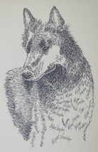 Belgian Sheepdog Art Portrait Print 40 Kline adds dog name free DRAWN FR... - £39.52 GBP