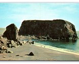 Goat Rock Sonoma Coast State Park California CA UNP Chrome Postcard Z3 - $3.91
