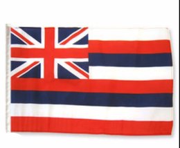 AES Hawaii State 12x18 12&quot;x18&quot; Sleeve Garden Flag - £3.10 GBP