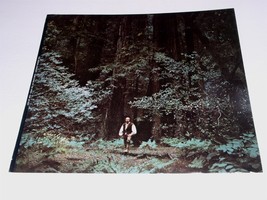 The Winter Consort Something In The Wind Promo Album Poster Vintage A&amp;M ... - $34.99