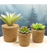 Set Of 3 Realistic Artificial Botanica Plant Succulents In Jute Wrapped ... - $65.60 CAD