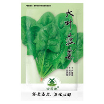 600Pcs Big Round Leaf Spinach Seeds Giant Noble Spinach Persia Vegetable... - $10.78