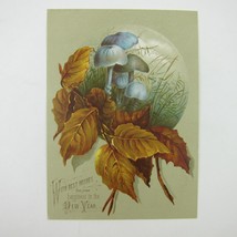 Victorian Greeting Card New Years Blue Mushrooms &amp; Winter Leaves Grass A... - $5.99