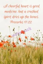 POPULAR BIBLE VERSE SCRIPTURE PROVERBS &quot;A CHEERFUL HEART IS GOOD MEDICIN... - $8.90