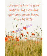 POPULAR BIBLE VERSE SCRIPTURE PROVERBS &quot;A CHEERFUL HEART IS GOOD MEDICIN... - $162.55 MXN