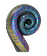 Scott Hartley Dichroic Nautilus Metallic (Rainbow Shell) Glass Paperweight - $2,746.06 MXN