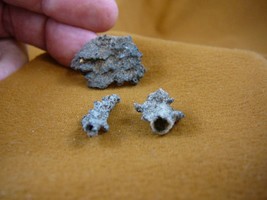 (R310-35) 3 Fulgurites lightning strike beach sand glass Sahara Desert A... - £10.29 GBP