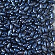 Cherokee Trail Of Tears Black Pole Beans 25 Seeds Phaseolus Vulgaris Fresh Garde - $8.23