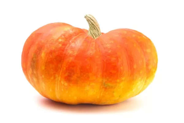 Cinderella Pumpkin Seeds For Planiting (Rouge Vif D Etampes)-20 Seeds Usa Seller - £15.88 GBP