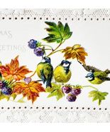 Christmas Greetings Card 1900s Victorian Lace Design Blue Jays Bird Berr... - $29.99