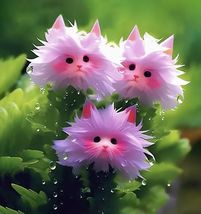 10 Seeds Mix Cat&#39;s Eyes Dazzle Flowers Shaped as a Cat Face Head - £4.43 GBP