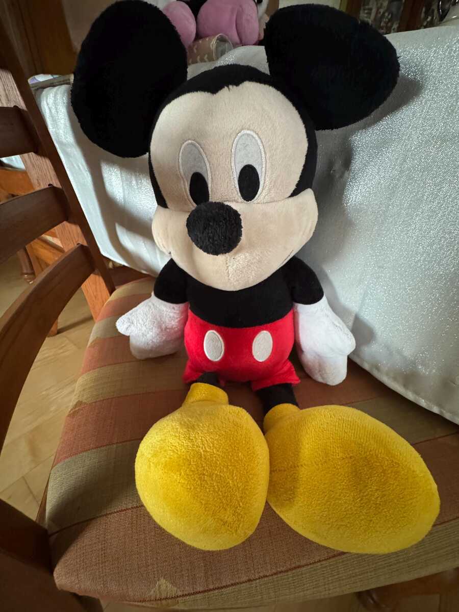 Full-size item image