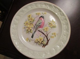 Royal Worcester Palissy Spode England Bulfinch Plate 9 1/4&quot; [*a1] - £51.43 GBP