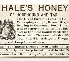 1885 Medical Hale&#39;s Honey Horehound Quack Medicine Advertisement Victorian 2 - £9.18 GBP