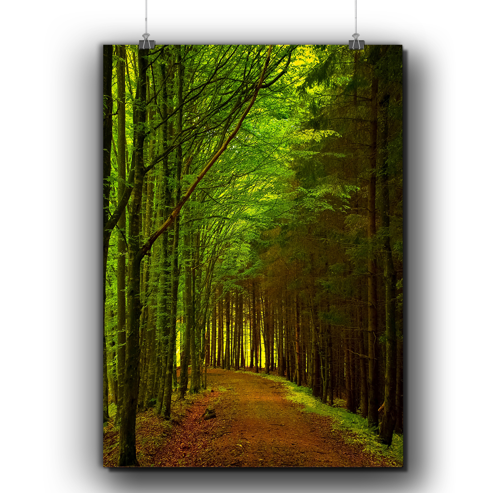 Forest Path Photo Nature Nature Walkway Matte/Glossy Poster A0 A1 A2 A3 ...