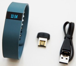 NEW Fitbit Charge LARGE Slate Wristband Wireless Activity Tracker CallerID Sleep - $62.02